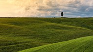 意大利托斯卡纳原野草地风景高清图片