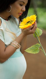 孕妇美女手捧向日葵花枝精美图片