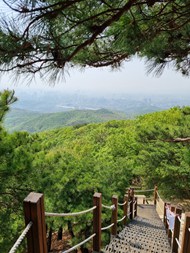 韩国自然景区木栈道风景图片下载