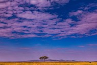 蓝天白云非洲大草原风光写真高清图片