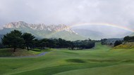 雨后高尔夫球场彩虹草地风景图片