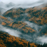 秋天喜马拉雅山谷树林云雾缭绕图片下载