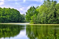 春天绿树湖泊风光写真高清图片