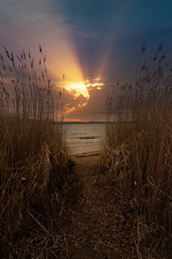 黄昏湖泊芦苇夕阳写真精美图片