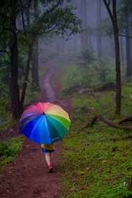 雨后撑着彩虹伞走在林间小路图片大全