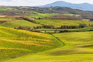 意大利托斯卡纳春天风景精美图片