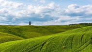 意大利托斯卡纳绿色草地风光写真精美图片