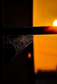 窗边蜘蛛网落日夕阳精美图片