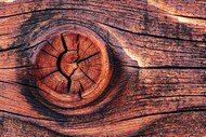 木头轮毂木纹素材精美图片