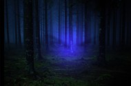 午夜森林蓝色极光写真图片下载