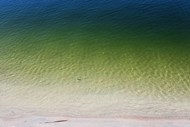 唯美白色海滩绿色海水精美图片