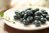 新鲜可口美国蓝莓图片下载