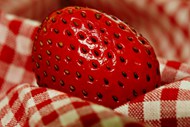 红色新鲜健康大草莓高清图片