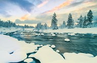 冬季树林冰河风景写真图片下载