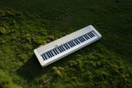 绿色草地电子琴高清图片