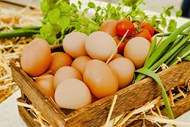 健康农家散养有机鸡蛋高清图片