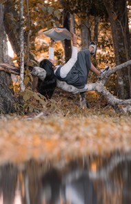 秋季美女躺在树林树干上看书高清图片