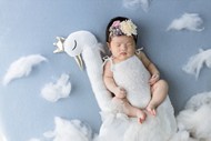 新生儿宝宝满月摄影艺术写真图片