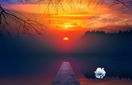 黄昏落日湖泊白色天鹅美景精美图片