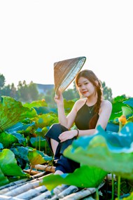 夏日荷塘越南美女摄影图片下载