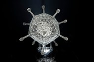 新冠病毒模型单色调写真图片