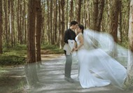 亚洲情侣树林婚纱摄影写真高清图片
