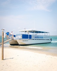 夏日海边沙滩白色轮船图片下载