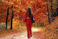 秋天红色枫树林红衣女郎背影高清图片