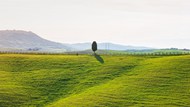 意大利托斯卡纳牧场草地风光写真高清图片