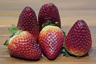 健康有机红色牛奶草莓写真图片下载