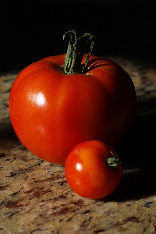 新鲜有机大小西红柿写真图片下载