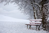 冬季皑皑白雪唯美雪景图片