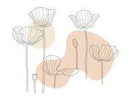 线条艺术花卉插画写真精美图片