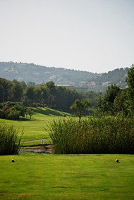 绿色高尔夫球场草地高清图片