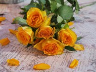 包装纸上躺着的玫瑰花束精美图片