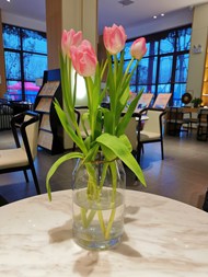 餐厅餐桌粉色郁金香插花高清图片