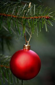 挂在冷杉枝上的红色圣诞彩球图片