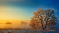 冬季唯美清晨日出美景写真图片