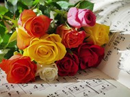 乐谱上置放的彩色玫瑰花高清图片