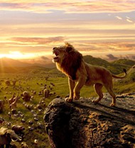 站在山顶上咆哮的狮子王图片