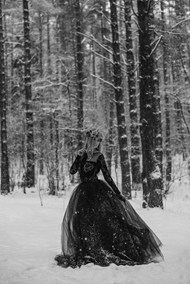 冬季树林雪景唯美婚纱黑白写真图片下载