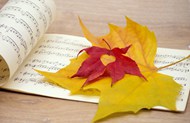 音乐乐谱和秋天落叶精美图片