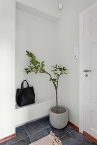 白色家居室内一角盆栽植物写真图片下载