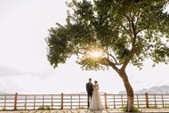 亚洲情侣树下手牵手婚纱摄影高清图片