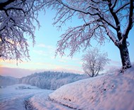 白雪皑皑冬日雪景写真精美图片