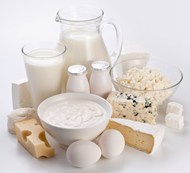 牛奶起司乳制品鸡蛋写真图片