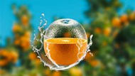 动感水花创意橙子写真图片下载