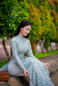 越南丰满翘臀奥黛旗袍美女摄影精美图片