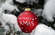 冬季积雪覆盖的云杉圣诞彩球精美图片