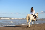 海边沙滩骑马的美女背影高清图片